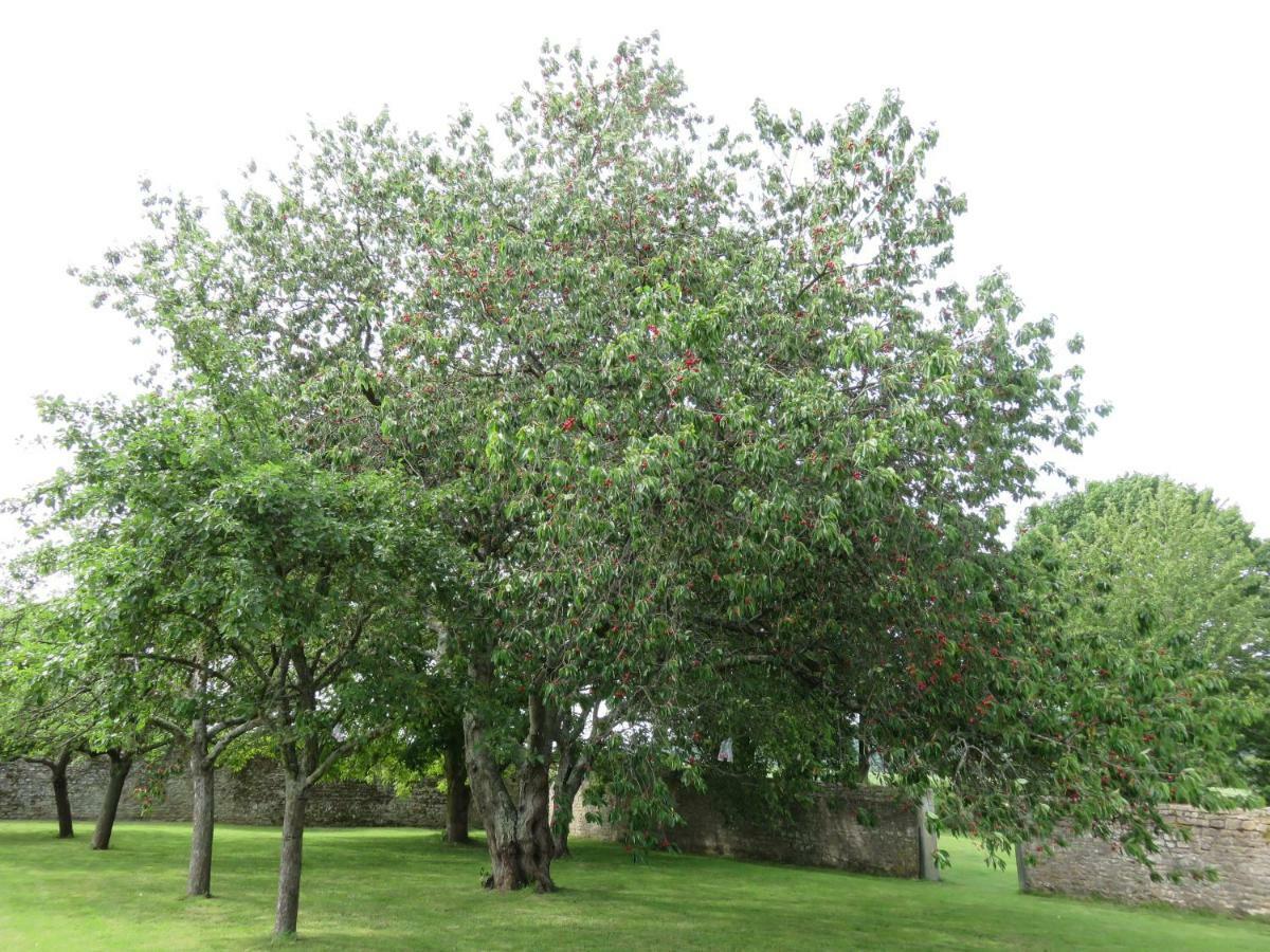 Clécy Le Manoir De Placy - Chambres D'Hotes מראה חיצוני תמונה